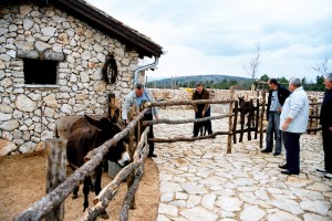Posjetitelji s magarcima u štali Etno sela Međugorje