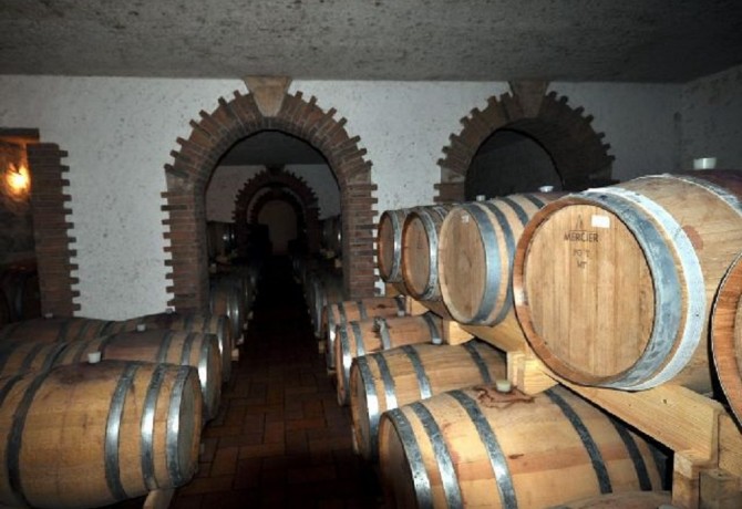 Uspješna priča vinarije Cattunar