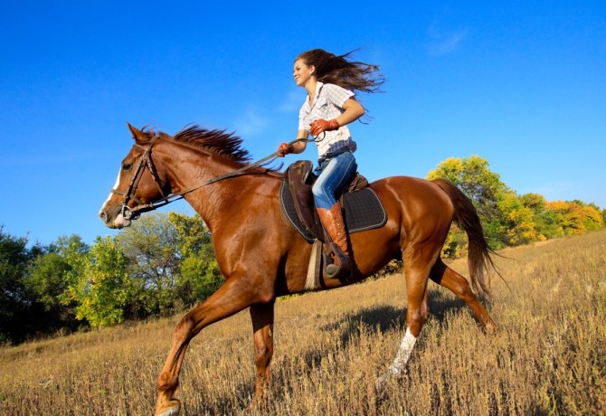 Horseback riding through Ravni Kotari