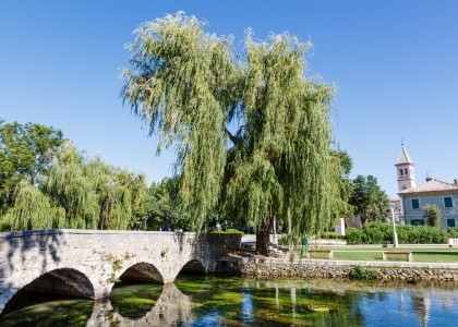 Nagrade „Simply the best” raspršile se po županiji…