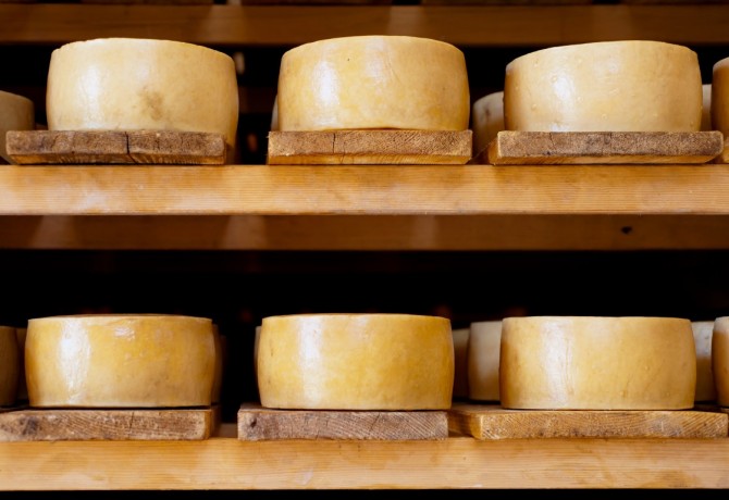 Najbolji sirevi dolaze iz Hrvatske