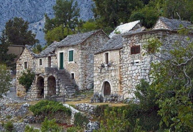 Reaching beauty of Bast