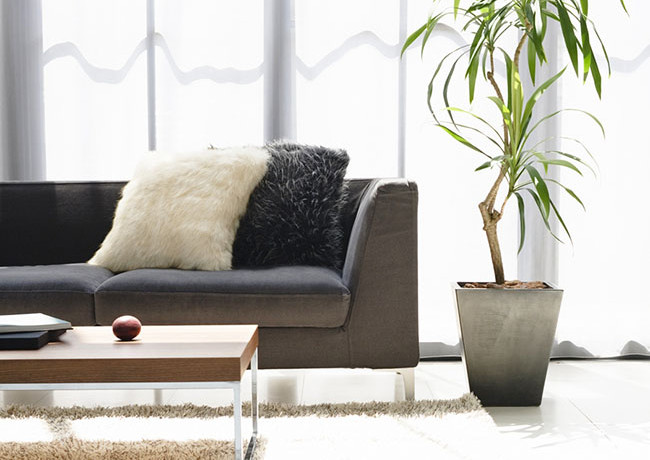 Dnevni kutak za odmor