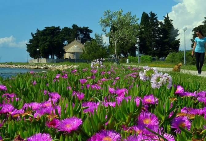 Sajam cvijeća Zadarske županije