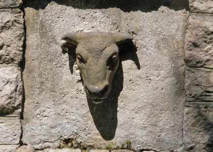 Najbolji lovci i psi na lovištima Cetinske krajine