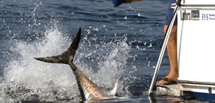 Kreće Big game fishing – Jezera