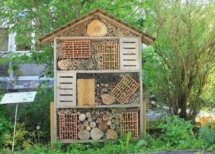 Marljivi kukci u prirodoslovnom muzeju Metković