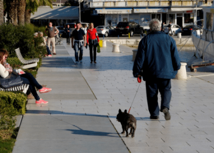 Radost za vlasnike kućnih ljubimaca u Vodicama