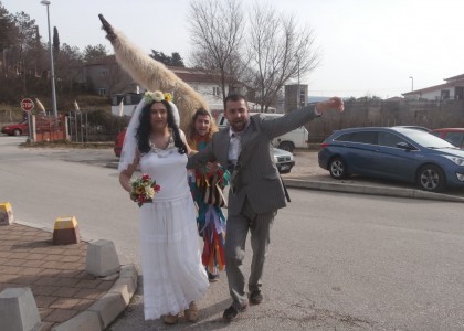 Udovičke mačkare privlače goste