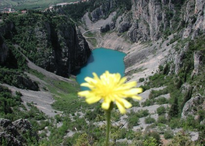 Flora i fauna imotskog Modrog jezera – s pečatom prirode