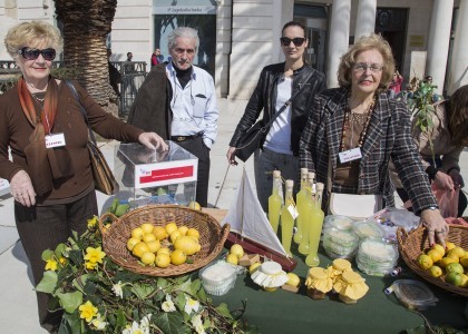 Uspješna akcija Dani limuna 2016. na splitskoj Rivi