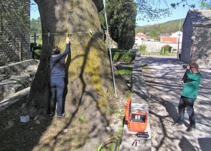 Stručno spašavanje simbola Gata