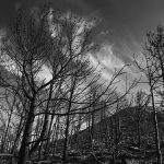 Otvorena izložba fotografija „Crna šuma” u Šibeniku