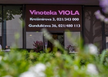 Matuško in visit to Viola wine shop!