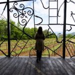 Umjetnička instalacija Boba Dylana u vinogradima na jugu Francuske