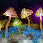 Australija postala prva zemlja koja “čarobne gljive” i ecstasy koristi u obliku lijekova