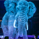 Njemački cirkus zamijenio je životinje njihovim hologramima!