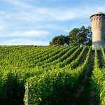 Francuski izvoz vina i žestokih pića na rekordnoj razini u 2017.