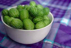 Minijaturne “lubenice”: Hit-namirnica koja postaje sve popularnija i u Hrvatskoj