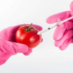 EU je podržala genetski modificiranu hranu. Što to znači za nas?