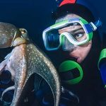 Na Ruđeru predstavljen projekt “BioProspecting Jadranskog mora” vrijedan 37 milijuna kuna