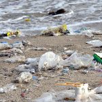 Vodeće tvrtke pokreću međuindustrijsku grupu za smanjenje otpada u morima i oceanima