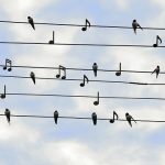 Festival Eurosonic Noordeslag objavio više od stotinu izvođača