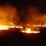 Spasimo prirodne vrijednosti u Delti rijeke Neretve od požara