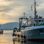 Plivaričarima 4,5 milijuna eura obeštećenja za privremenu obustavu ribolova