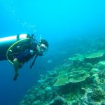 Znanstvenci sve zabrinutiji: Globalno zagrijavanje ima dublje posljedice no što je itko očekivao