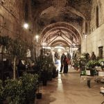 [VIDEO] Biljke i sadnice u Dioklecijanovim podrumima
