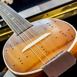 Tambura, mala bečka gitara čarobnog zvuka