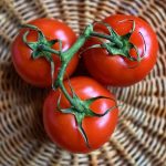 GMO rajčica snižava tlak i štiti kardiovaskularni sustav – odobrena za japansko tržište!