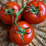 Budućnost hrane: Znanstvenici genetski modificirali rajčicu kako bi bila bogatija vitaminom D