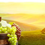 Godišnja potrošnja vina u Hrvatskoj 22 litre po stanovniku